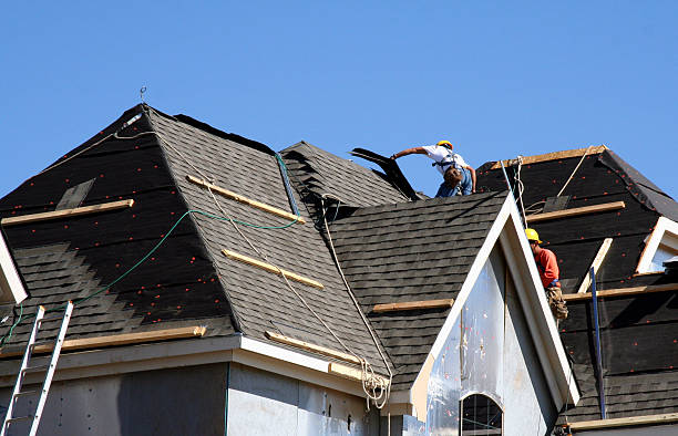 Best New Roof Installation  in Elk Rapids, MI